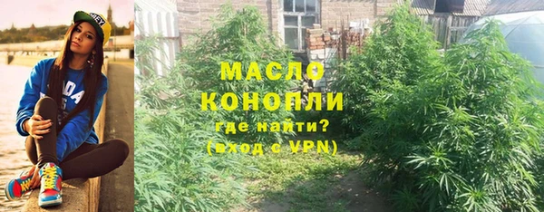 таблы Бородино