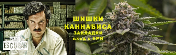 таблы Бородино